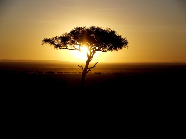 african sunrise