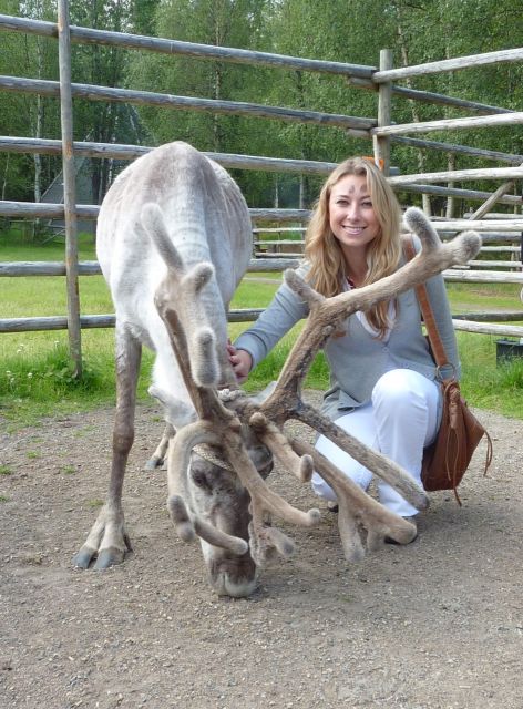 reindeer farm