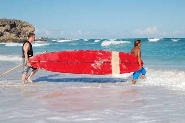 Paddle Board