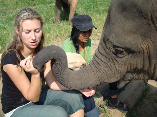 Travel Junkie with Trunk