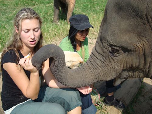 Travel Junkie with Trunk