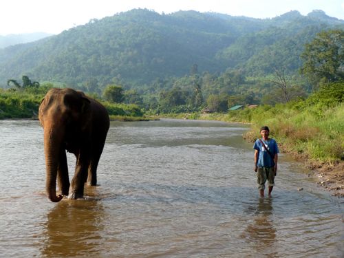 Mahout in the River