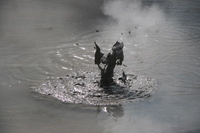 Mud Puddle