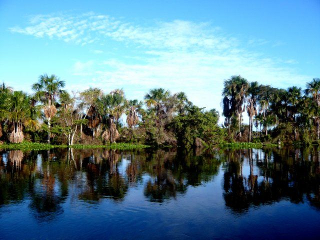 The Orinoco Delta