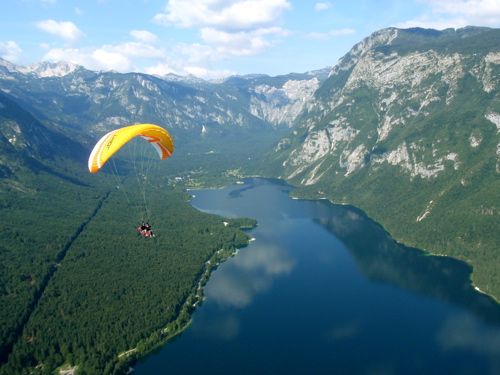 paragliding in the alps