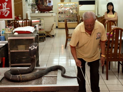 snake alley
