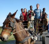By Horse-Drawn Carriage