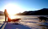 Gonzo Dogsledding
