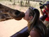 giraffe park