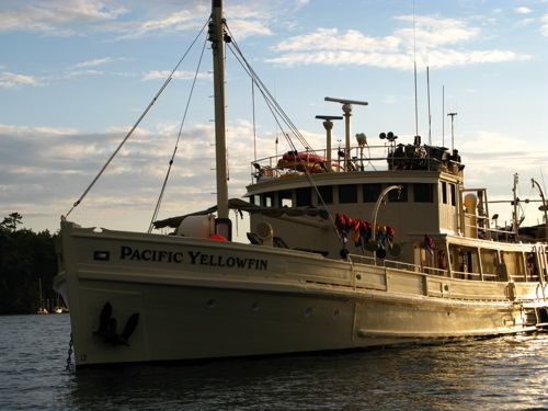 yellowfinsunset